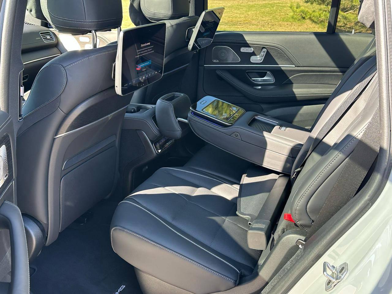 Mercedes-Benz GLS-Class 450did-3926