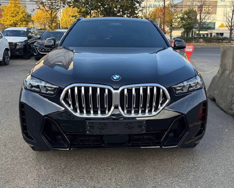 BMW X6 xDrive 40i Msportid-5698