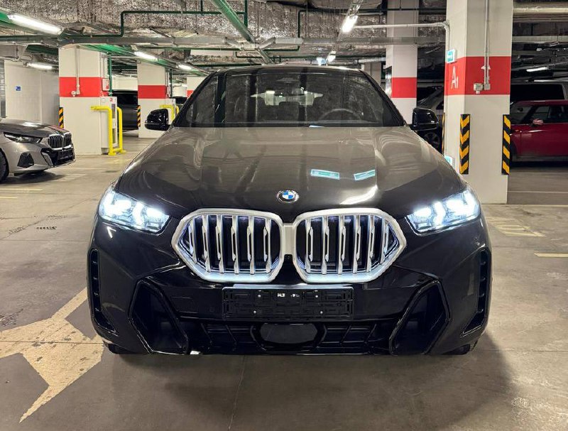 BMW X6 xDrive 30i Msportid-3525