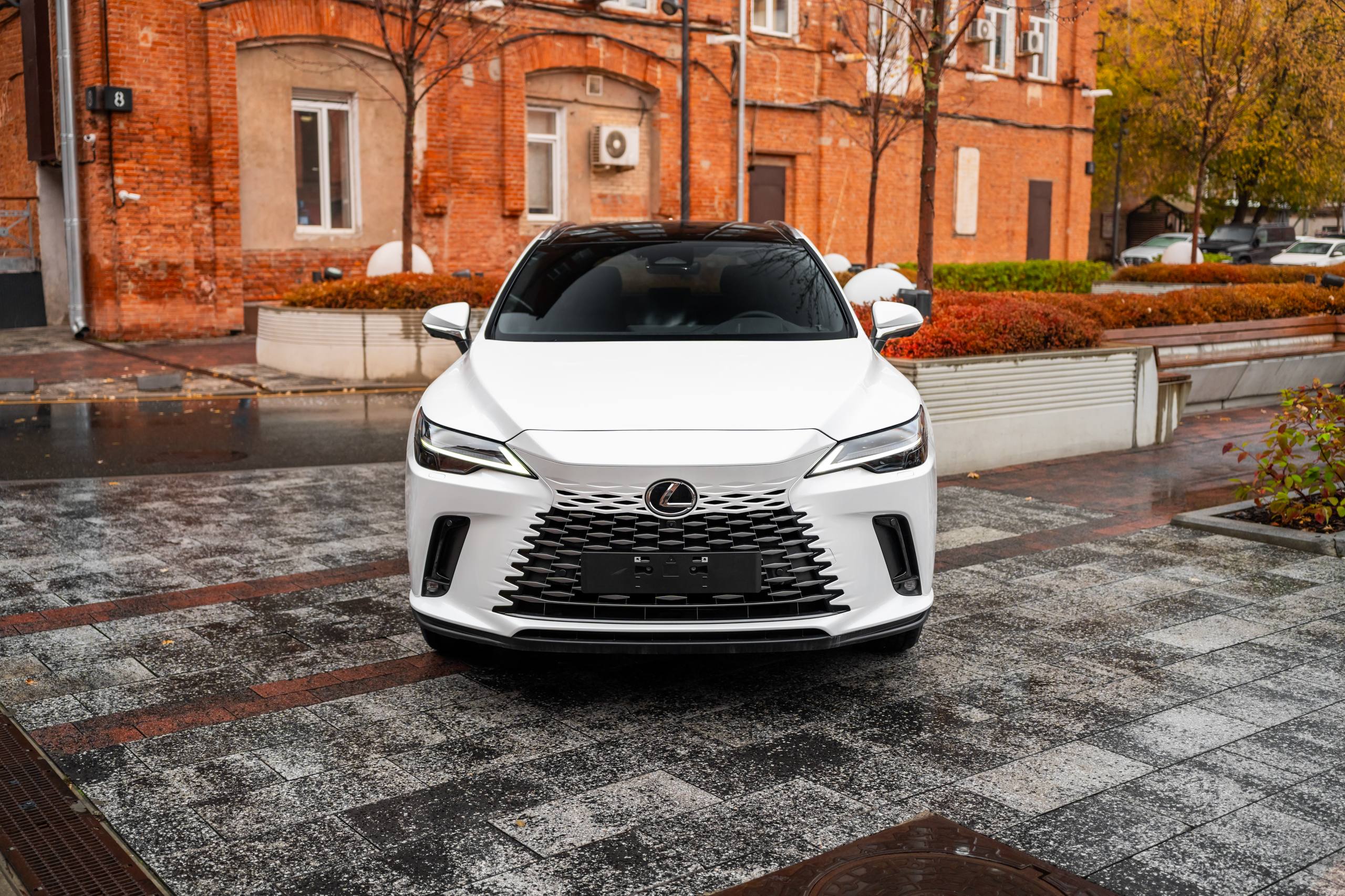 Lexus RX 350hid-5236