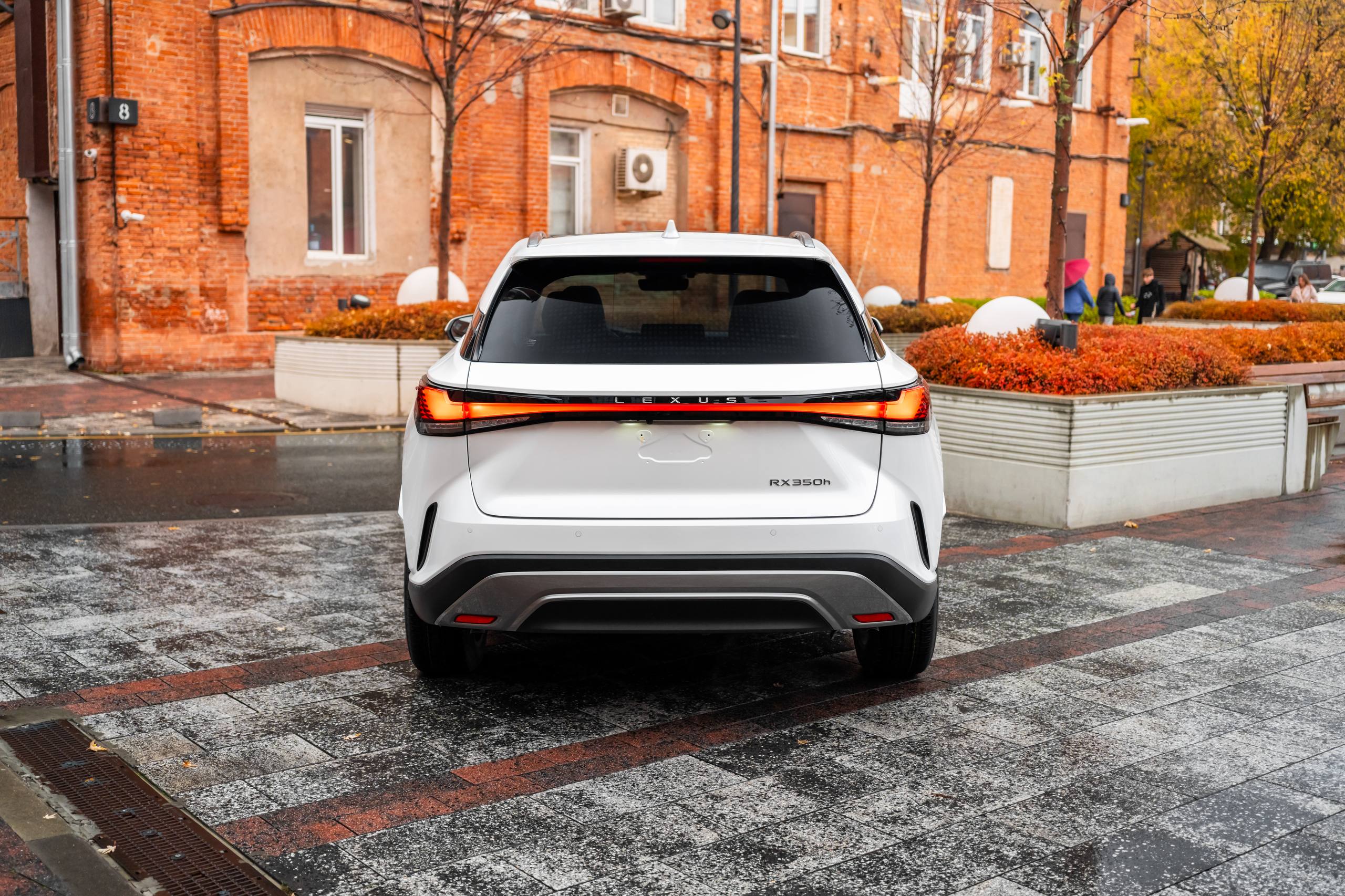 Lexus RX 350hid-5236