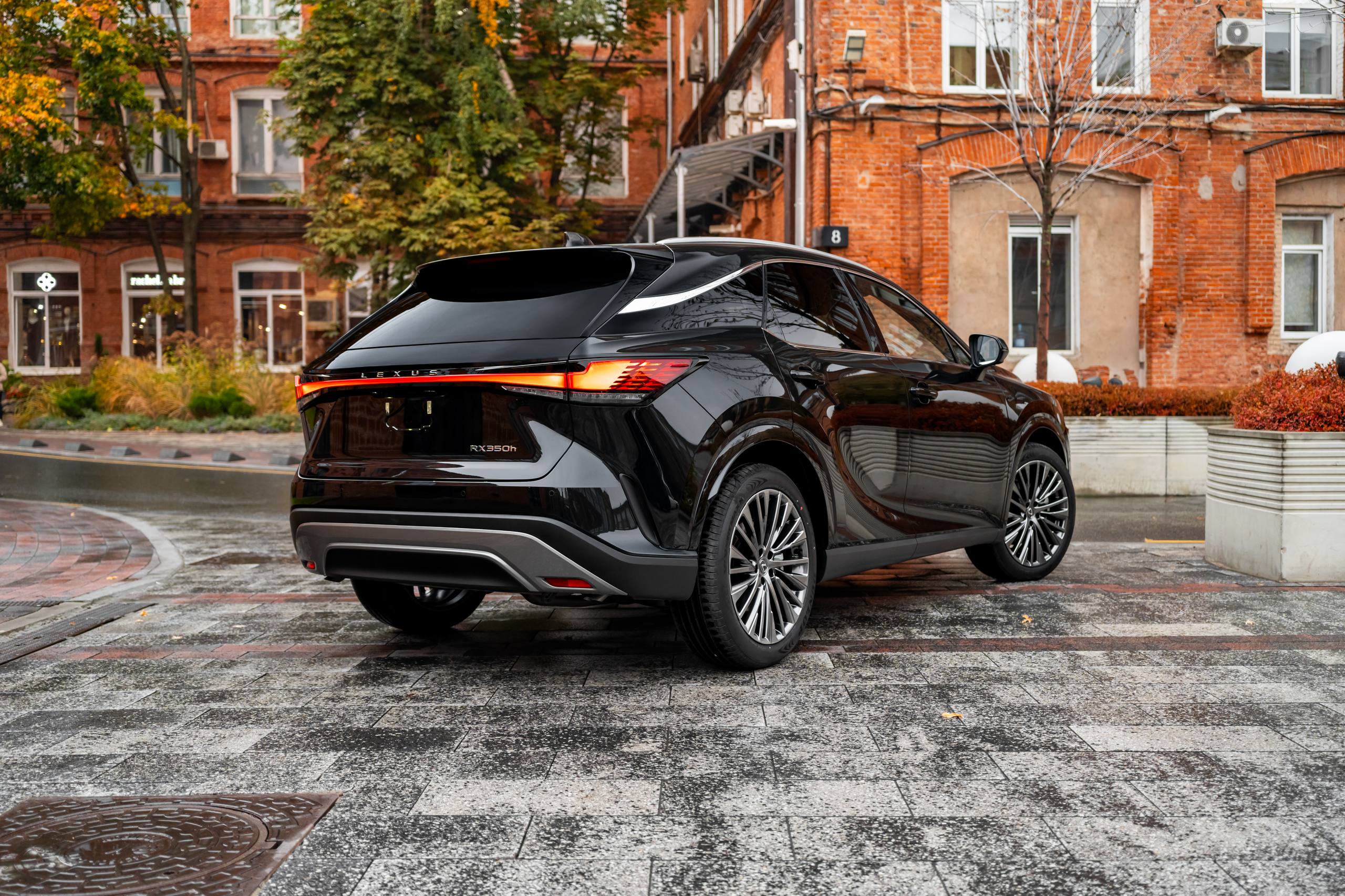 Lexus RX 350hid-5237