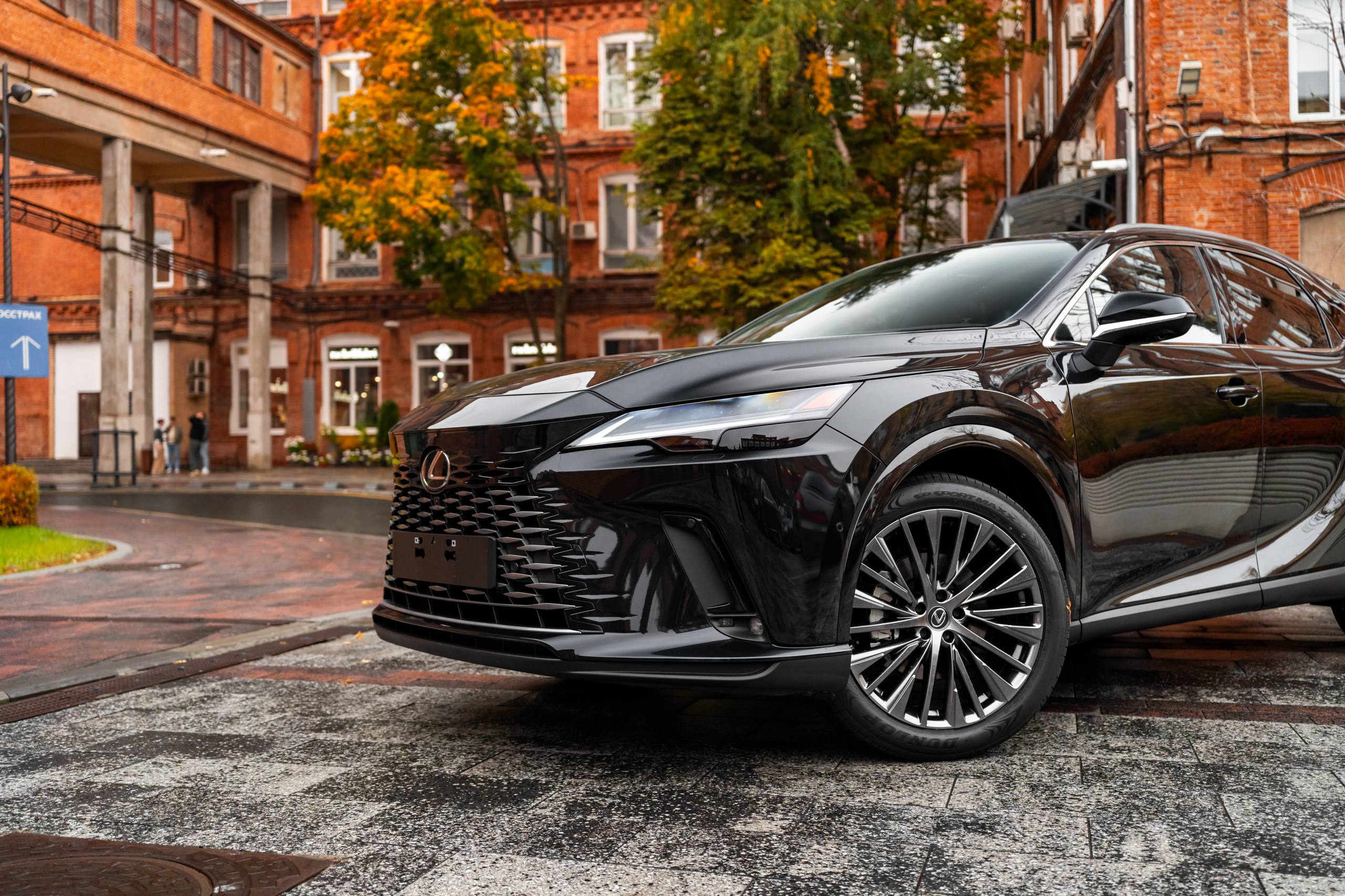 Lexus RX 350hid-5237