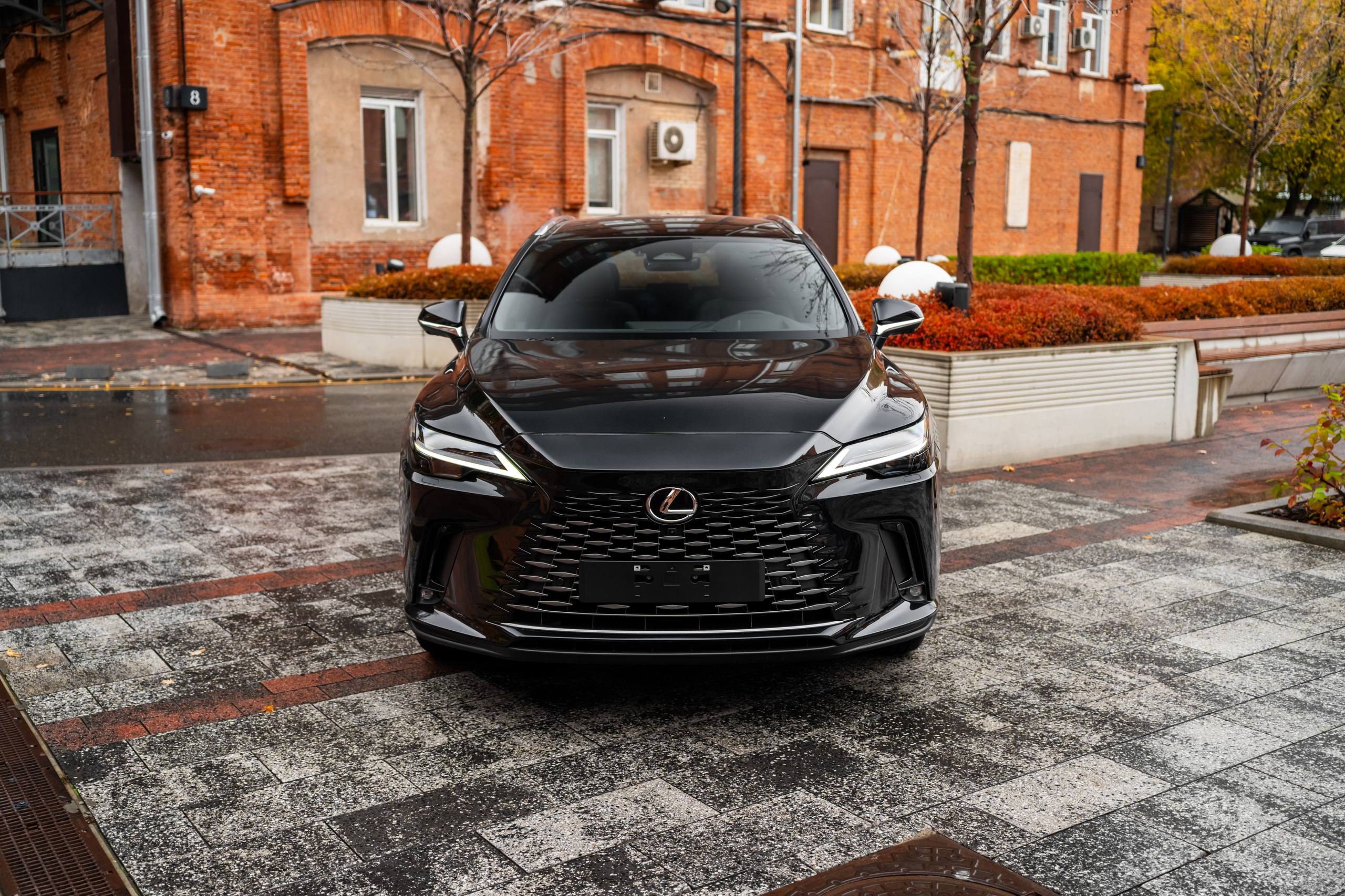 Lexus RX 350hid-5237