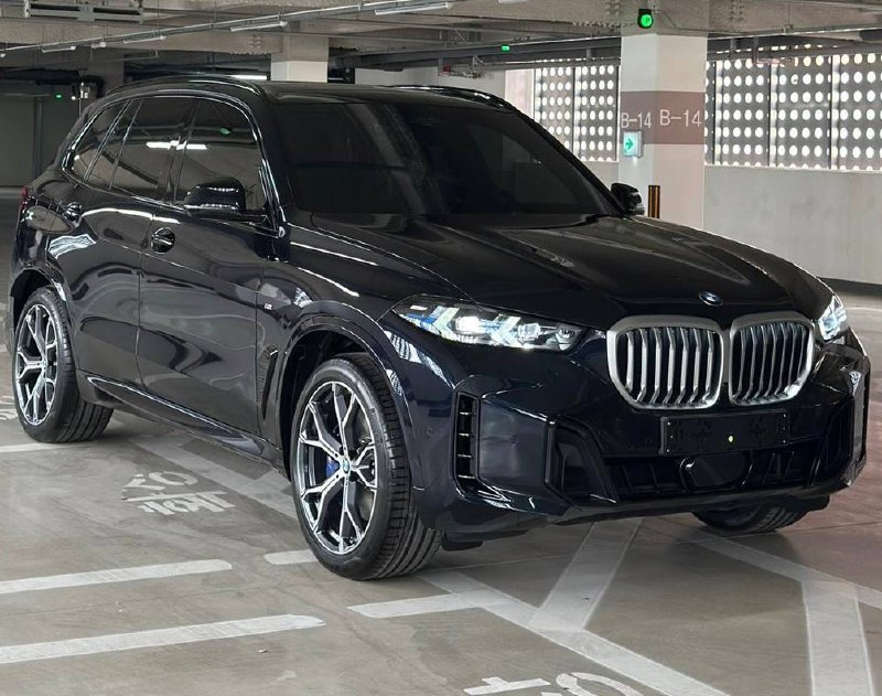 BMW X5 xDrive 30d Msportid-4398