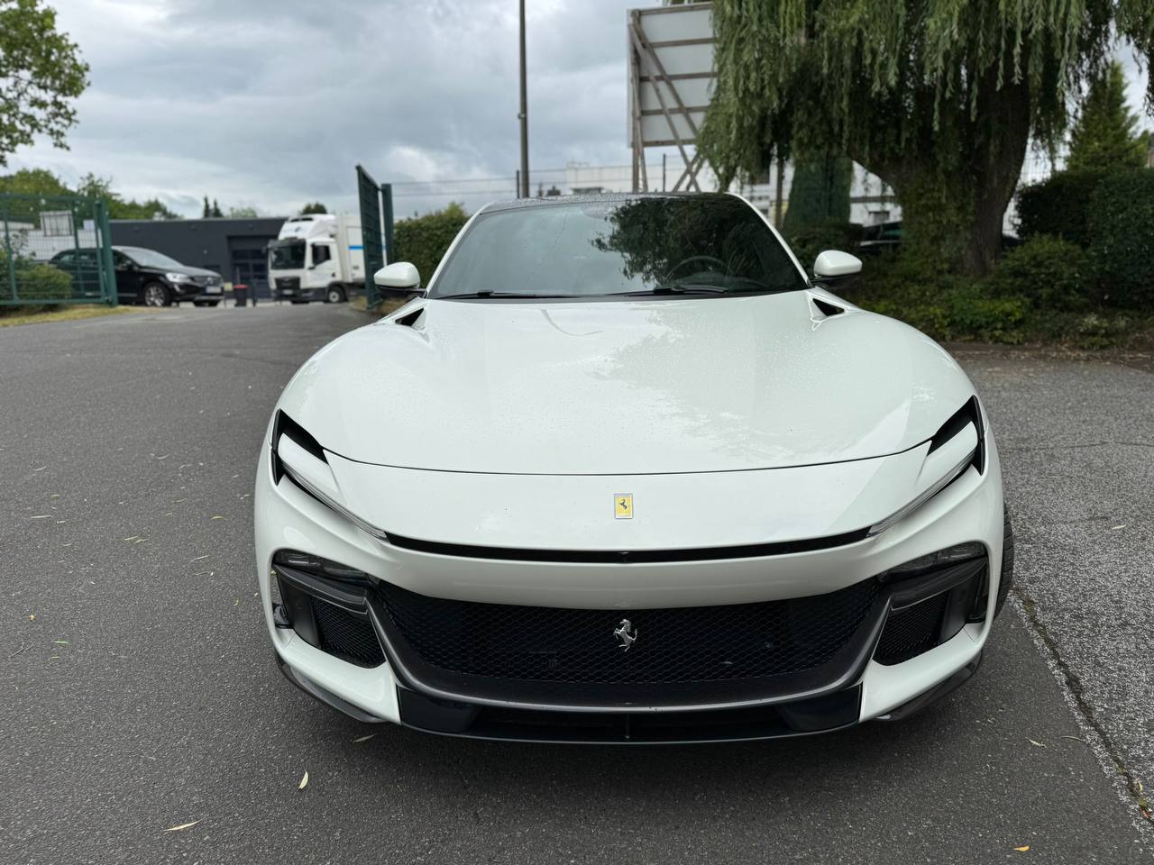 Ferrari Purosangue Special Editionid-4436