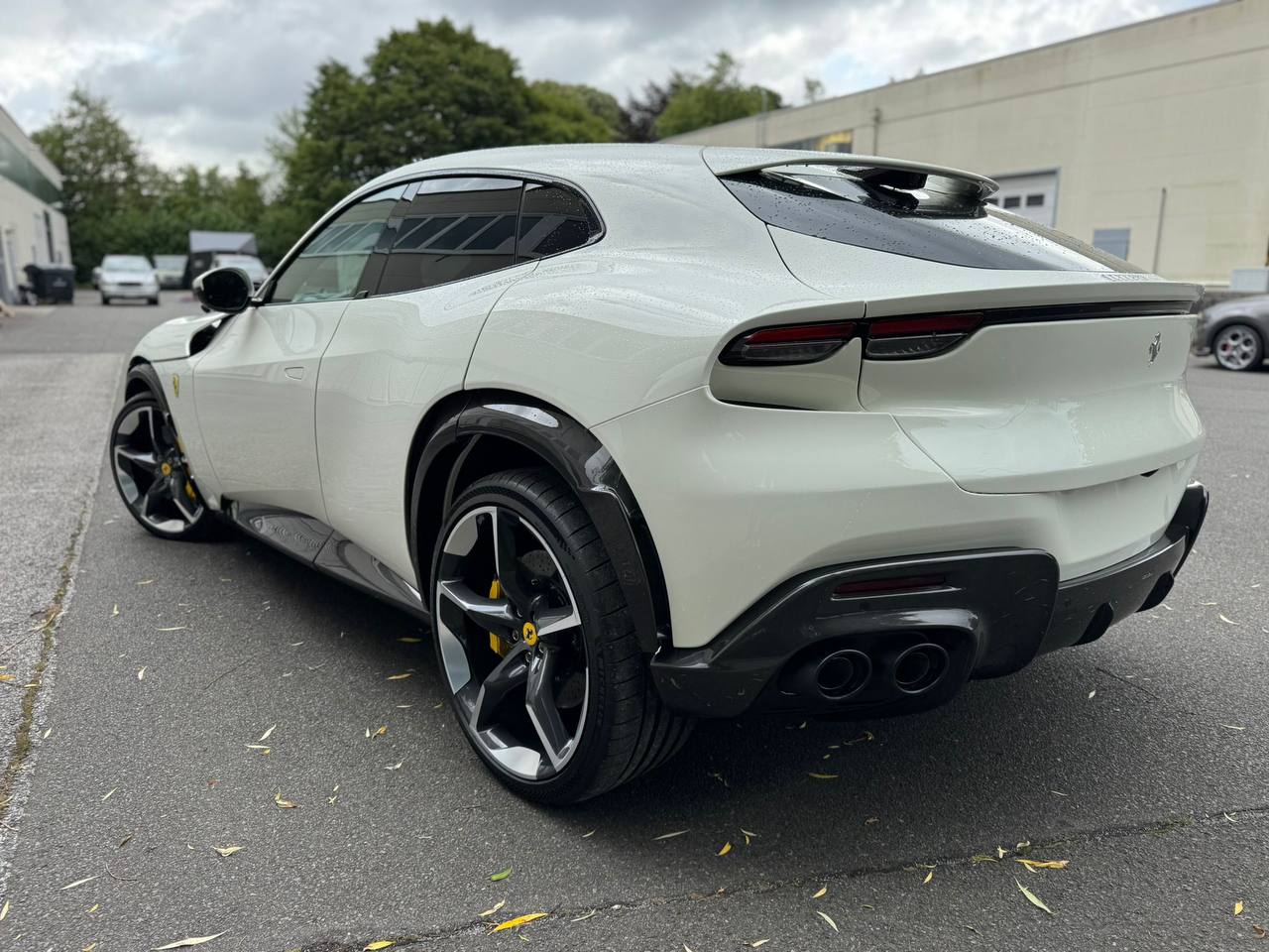 Ferrari Purosangue Special Editionid-4436