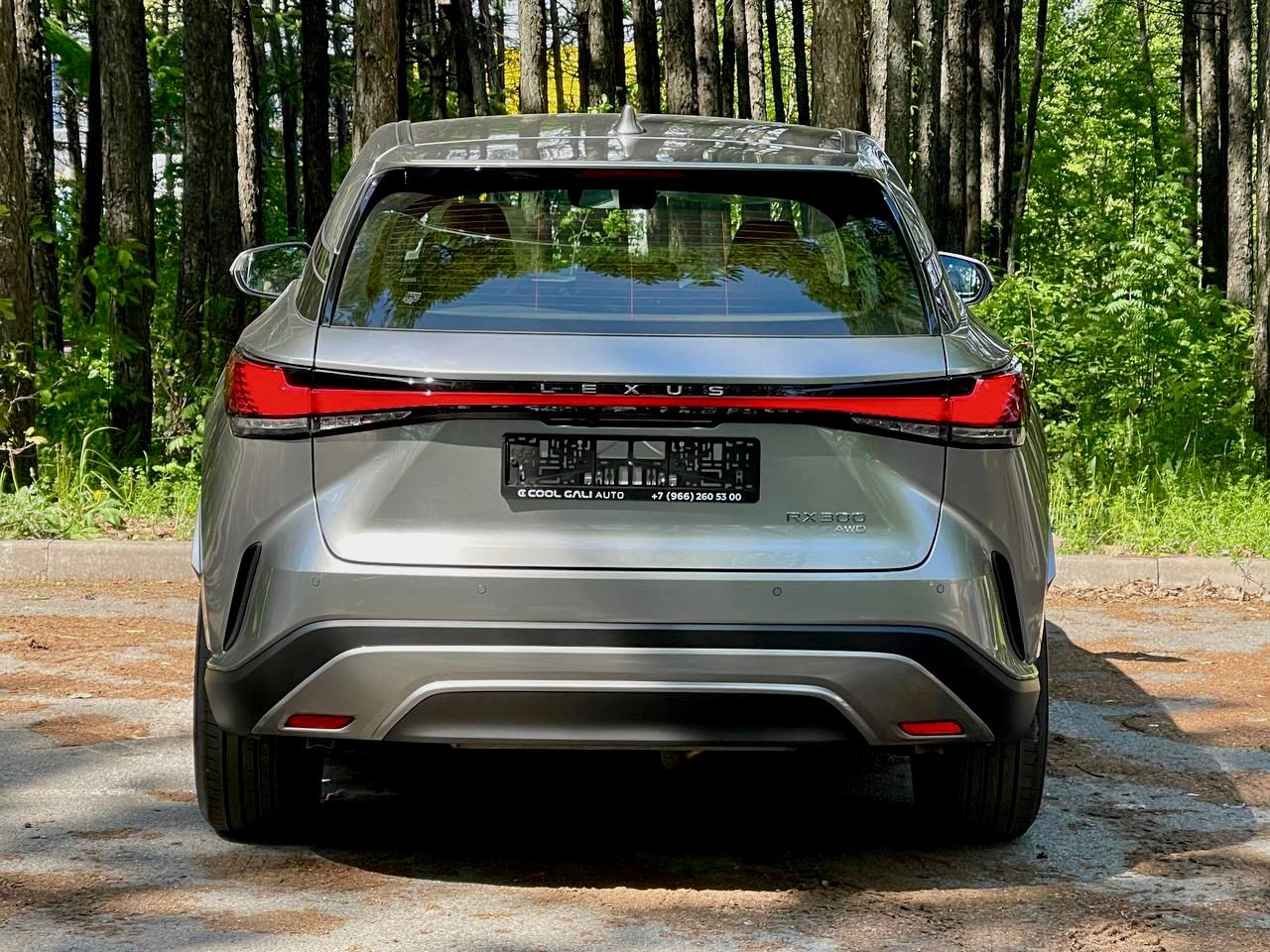 Lexus RX RX 300id-3589