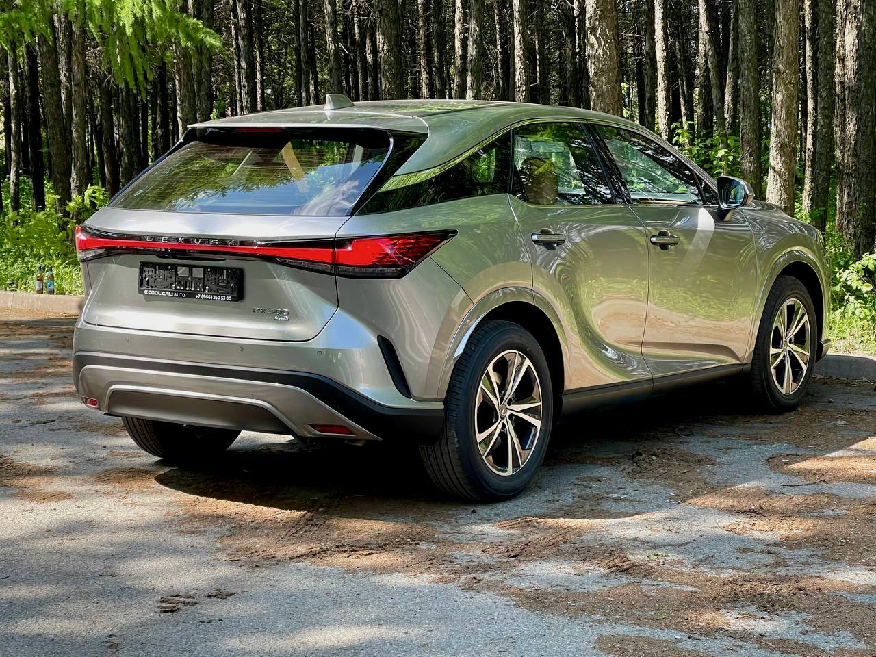 Lexus RX RX 300id-3589