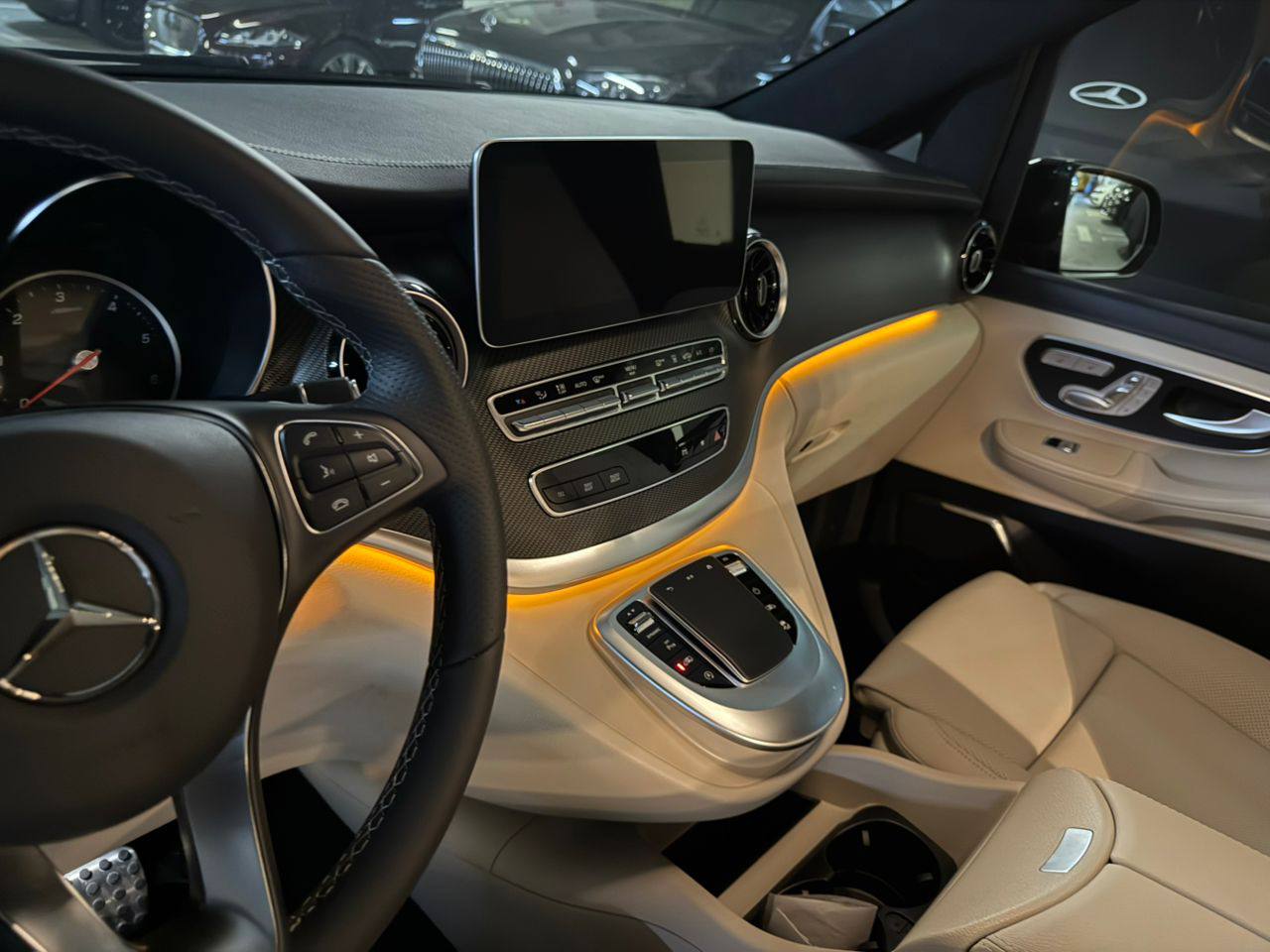 Mercedes-Benz V-Class 300did-4121