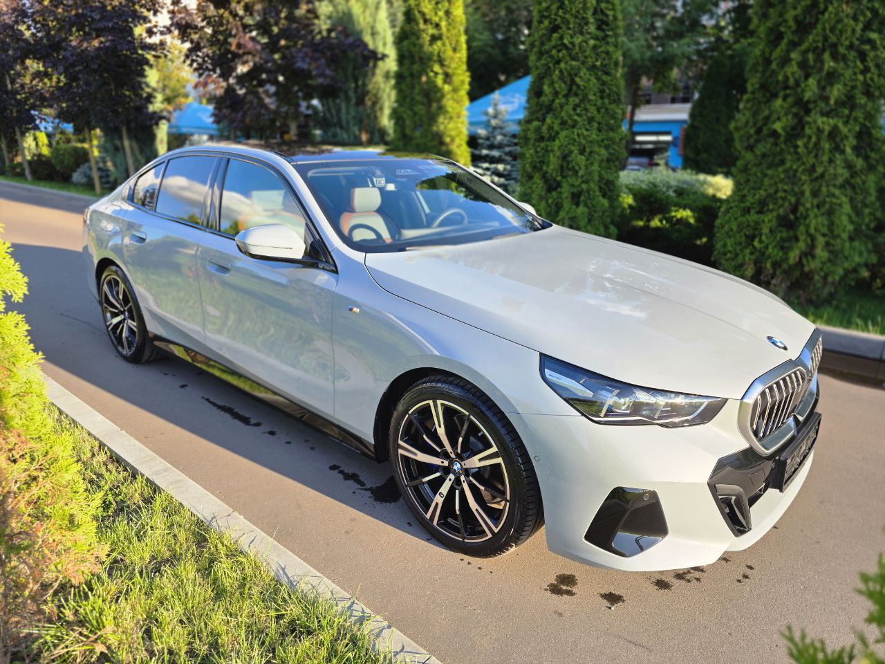 BMW 5 series 530iid-4811