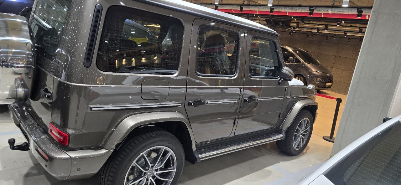 Mercedes-Benz G-Class 450did-3651