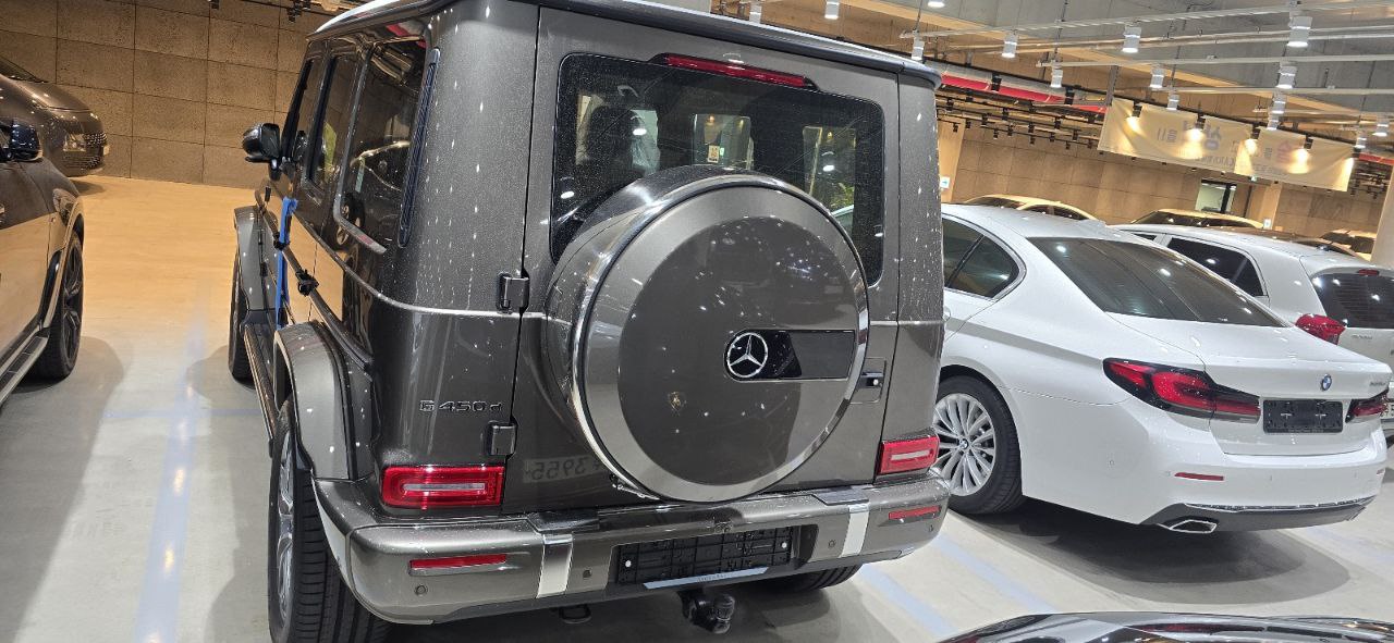Mercedes-Benz G-Class 450did-3651