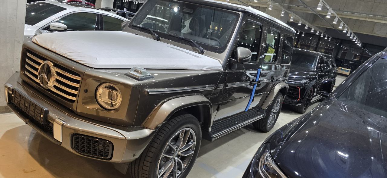 Mercedes-Benz G-Class 450did-3651