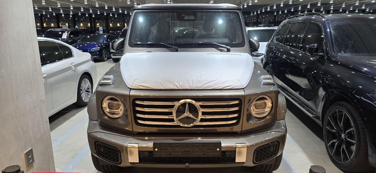 Mercedes-Benz G-Class 450did-3651