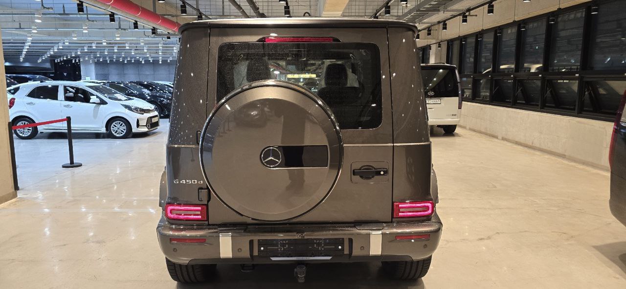 Mercedes-Benz G-Class 450did-3651