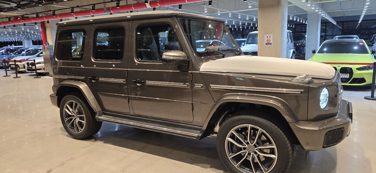 Mercedes-Benz G-Class 450did-3651