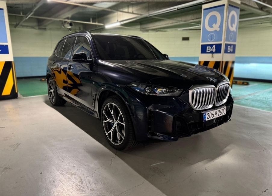 BMW X5 xDrive 30d M Sportid-3653
