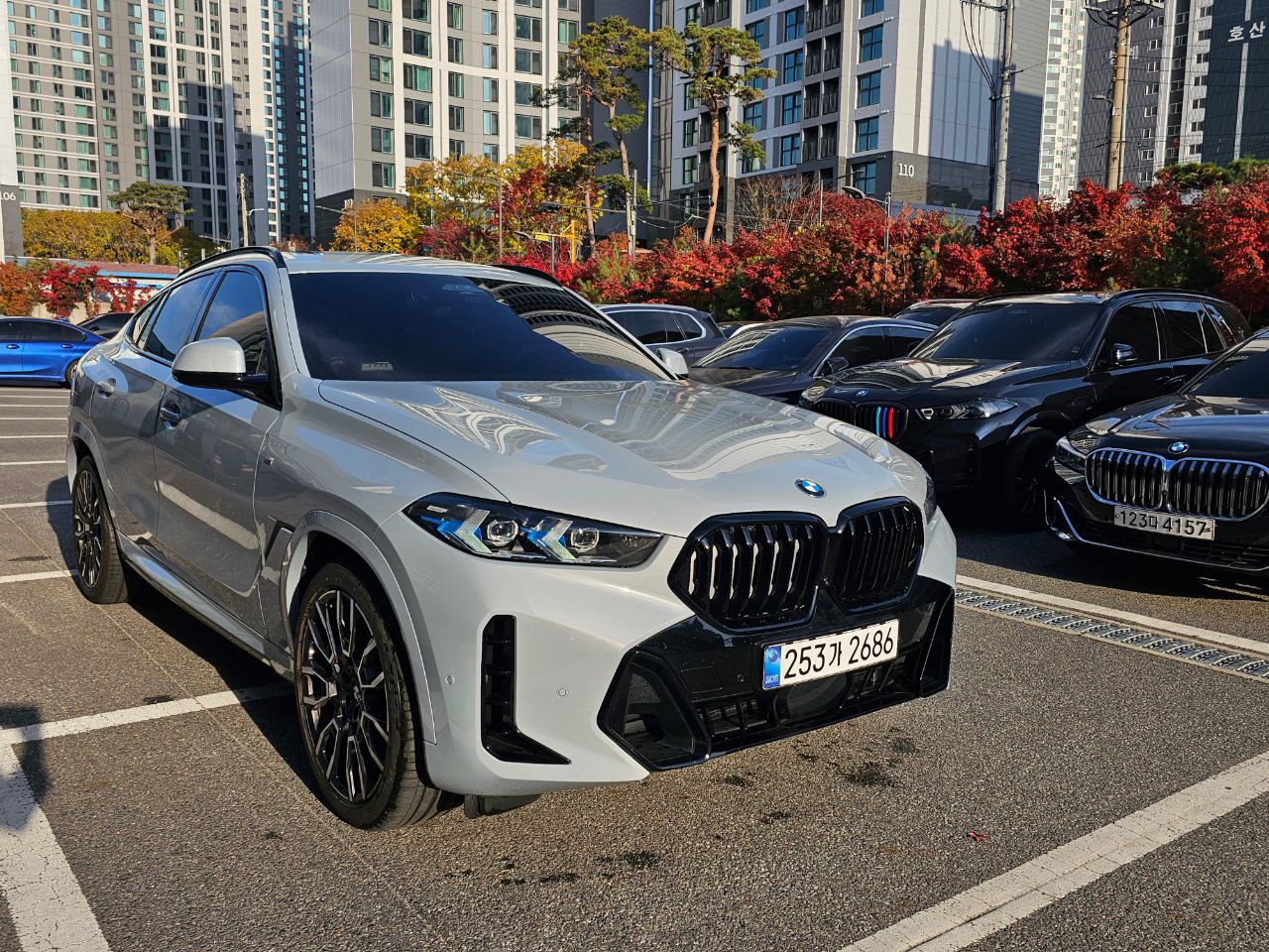 BMW X6 30did-5572