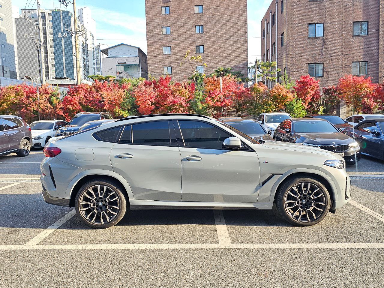 BMW X6 30did-5572