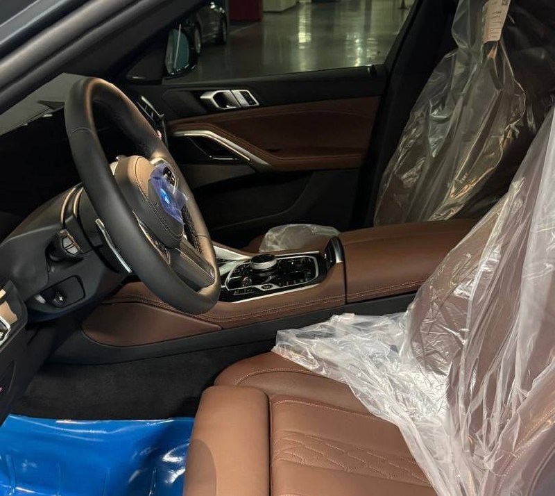 BMW X6 xDrive 30d Msportid-3473